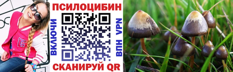 сколько стоит  маркетплейс формула  Галлюциногенные грибы мухоморы  Покачи 